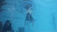 IMG_0132.jpg